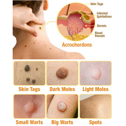 ✨BeeSkin Pro™ – La solución experta con el toque mágico de la abeja