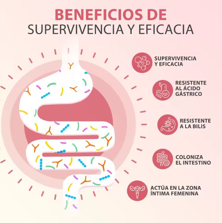 IntiMax ProBio™:Equilibrio íntimo + digestivo en una sola cápsula