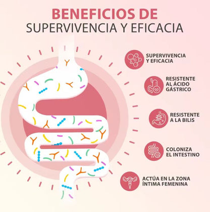 IntiMax ProBio™:Equilibrio íntimo + digestivo en una sola cápsula