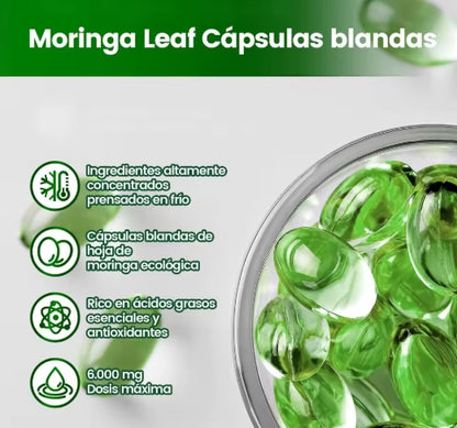 Cápsulas de Moringa - Polvo Puro de Moringa Superalimento para el metabolismo, energía, salud de la piel, inmunidad y salud intestinal. Rico en antioxidantes, fomenta el sueño.
