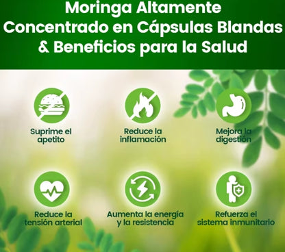 Cápsulas de Moringa - Polvo Puro de Moringa Superalimento para el metabolismo, energía, salud de la piel, inmunidad y salud intestinal. Rico en antioxidantes, fomenta el sueño.