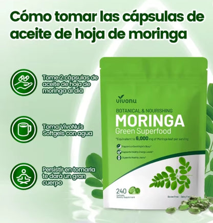 Cápsulas de Moringa - Polvo Puro de Moringa Superalimento para el metabolismo, energía, salud de la piel, inmunidad y salud intestinal. Rico en antioxidantes, fomenta el sueño.