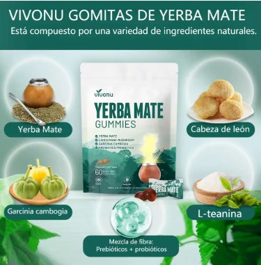 Gomitas de yerba mate probióticas Vivonu: ricas en multivitaminas, suplemento esencial para viajes saludables, 60 cápsulas, 2 años de vida útil, gomitas naturales caseras para la salud intestinal,