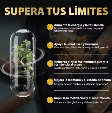 Windboss Maca Negramaca + Extracto de Pimienta Negra | Apoya la vitalidad y el bienestar | Contribuye a la energía diaria | 60 Cápsulas