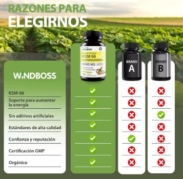 Windboss Cápsulas de Ashwagandha KSM-66 4800mg,  Sin Gluten, No Transgénico, Vegano, con Pimienta Negra para Mejor Absorción, y Apoyo al Sueño - 90 Cápsulas